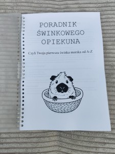 Poradnik / Druk 