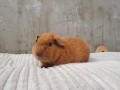 20260505_140533.jpg