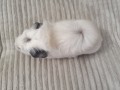20260505_140636.jpg